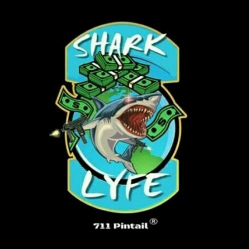 #SharkLyfe Music Group’s avatar