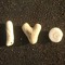 Ivo