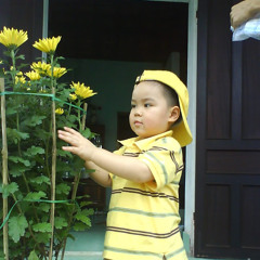 Tuyết Trinh Đinh Nguyễn