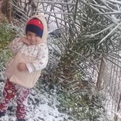 ام الحمزة القرغولي