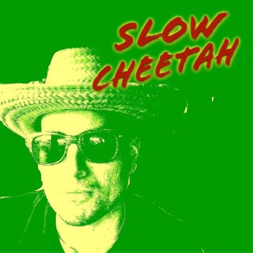 Slow Cheetah’s avatar
