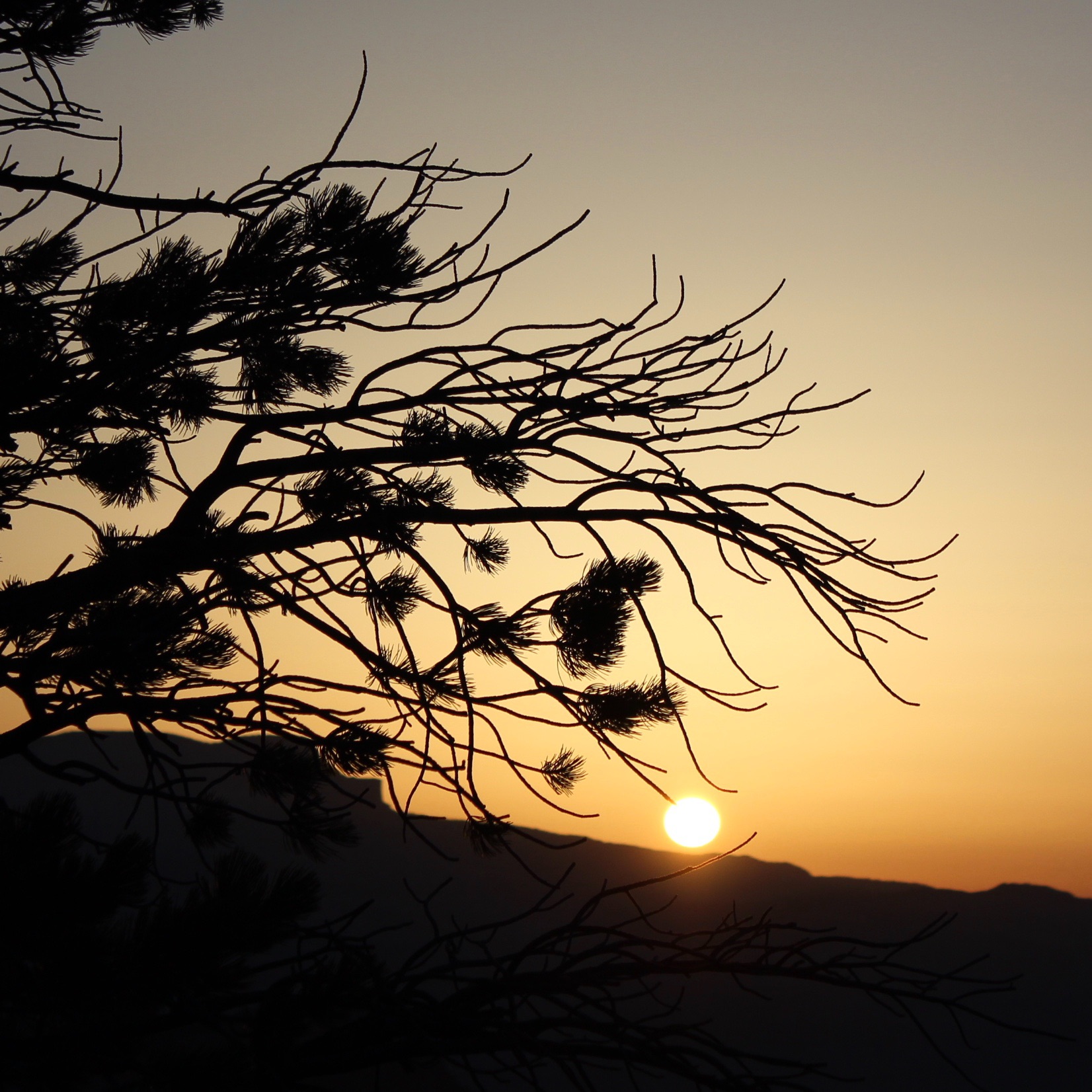 Serenity Meditations