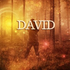 david et ses livraisons