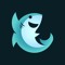 The Cute Shark