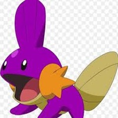 ShinyMudkipDeluxe