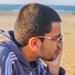 Mohamed Anwar Ghaly