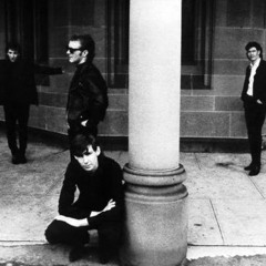 Porcelain Bus (Official)