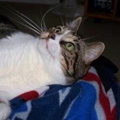 Max