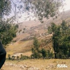 وفاء قرة محمد