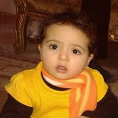 محمد القط