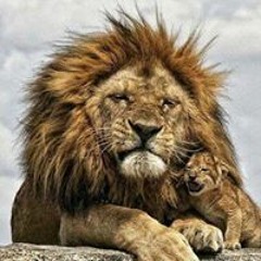 Juan David Reyes Rosas