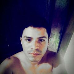 Paulo Henriquer