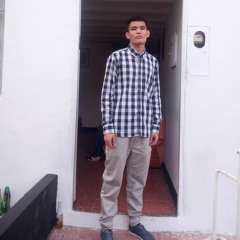 diego castillo