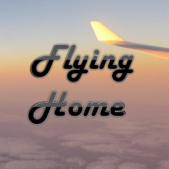 Flying Home