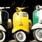 Harry_86845