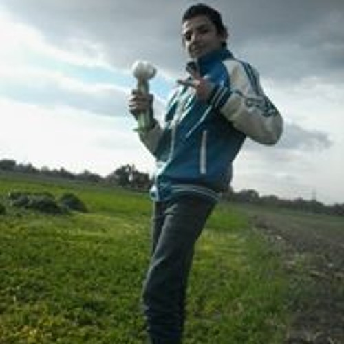 محمد مجدى’s avatar