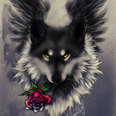 aquawolf 847533