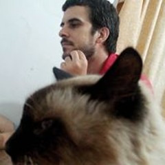 Pedro De Falco Fernandes