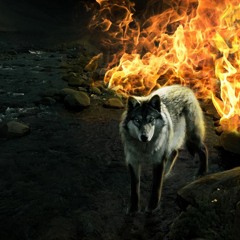 Wolfblaze9