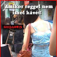 Rigó Miklós