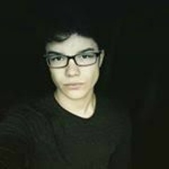 Logan Schauwers