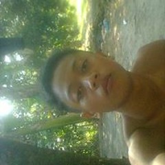 kupu kupu malam