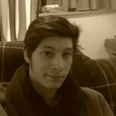 FlowJoe
