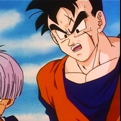 Future Gohan 808