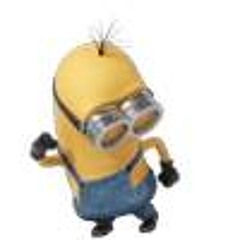 Radix Fred