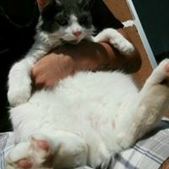 Martin Alejandro Vasquez