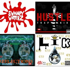 SwampMNGT Management