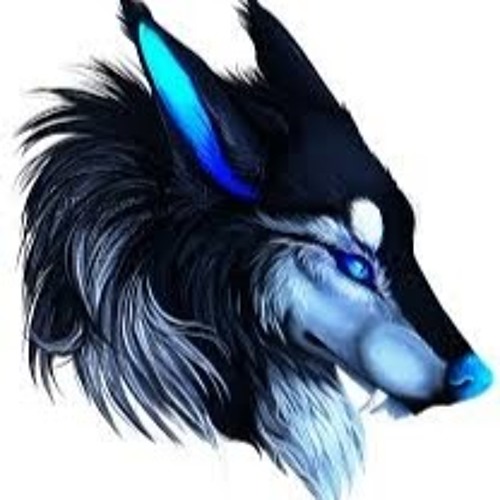 Blue Wolf’s avatar
