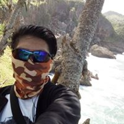 Fadjri Kurniawan’s avatar