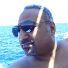 mahmoud.shawki