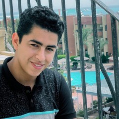 Ahmed S Eid