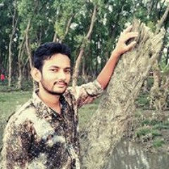 Md Rashed Bd