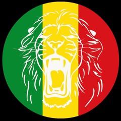 Rasta Vibration Records