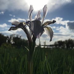 Mancos United Methodist Church