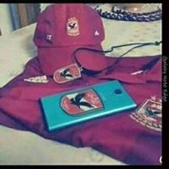 Mostafa S Abou Zeid