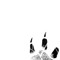 J Paw