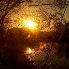 Kerensa Stephens-Aviatrix