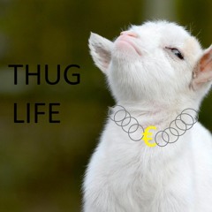 Thug_life