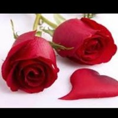 السيدة سلوى العلي