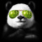 panda plays