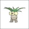 DJ Coconut