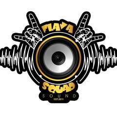 FLAVA SQUAD SOUND SYSTEM
