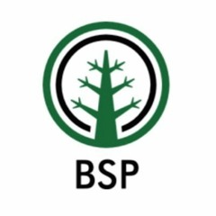 Branch Sports Podcast