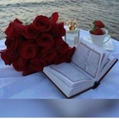 Sayed Sayed