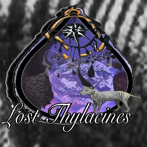 Lost Thylacines’s avatar