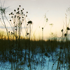 W M Swan